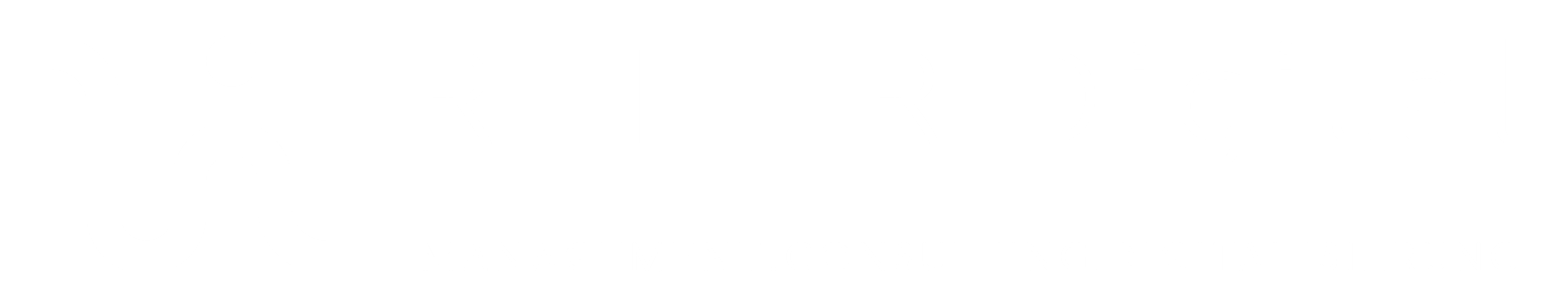 REITER Management & Consulting Logo weiß
